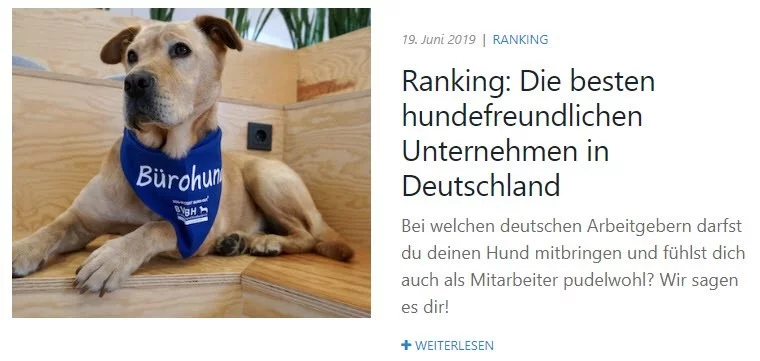 kununu Blogbeiträge