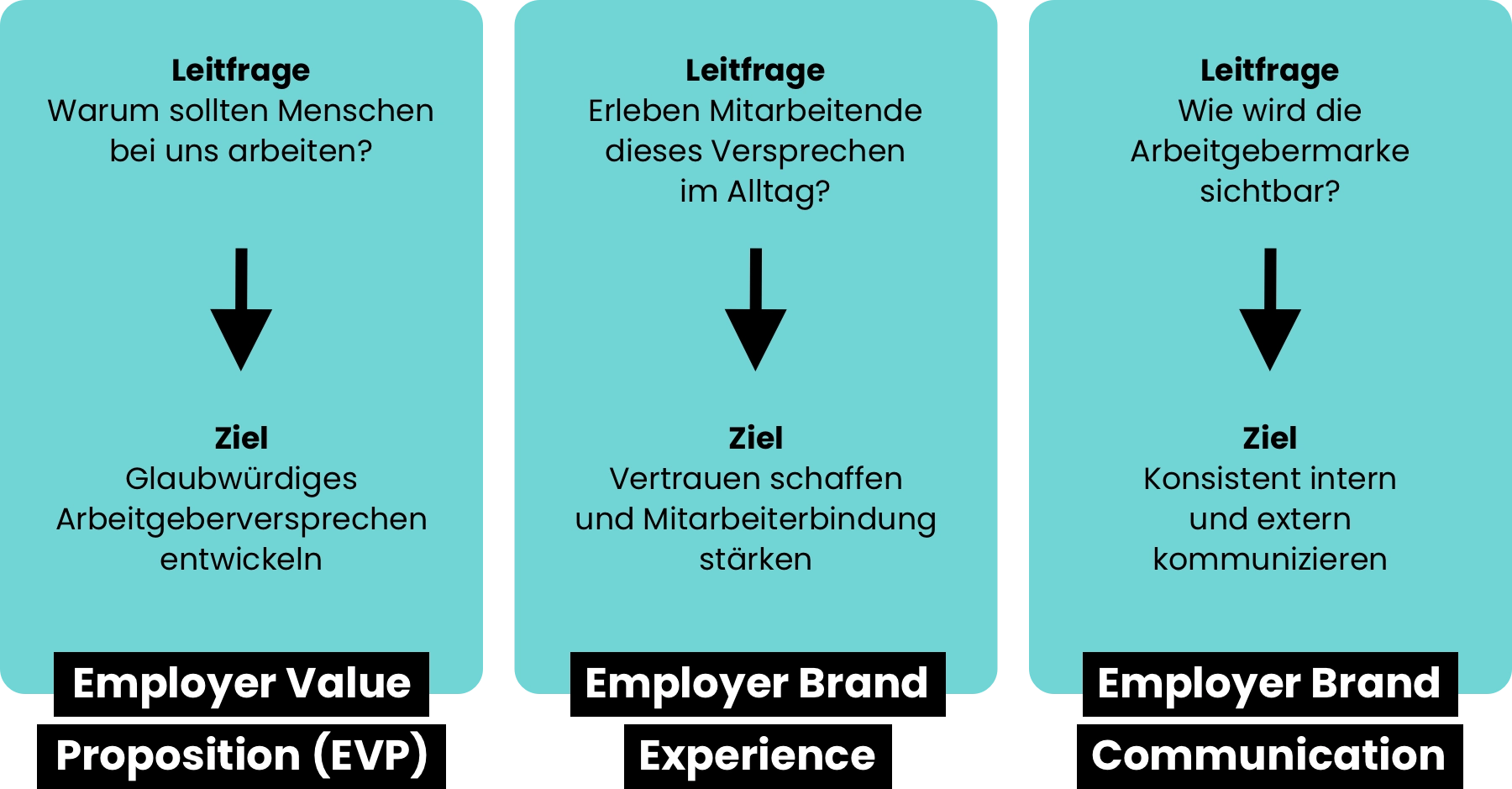 Infografik zum Drei-Säulen-Modell: Employer Value Proposition (EVP): Leitfrage: Warum sollten Menschen bei uns arbeiten? Ziel: Glaubwürdiges Arbeitgeberversprechen entwickeln. Employer Brand Experience: Leitfrage: Erleben Mitarbeitende dieses Versprechen im Alltag? Ziel: Vertrauen schaffen und Mitarbeiterbindung stärken. Employer Brand Communication: Leitfrage: Wie wird die Arbeitgebermarke sichtbar? Ziel: Konsistent intern und extern kommunizieren.