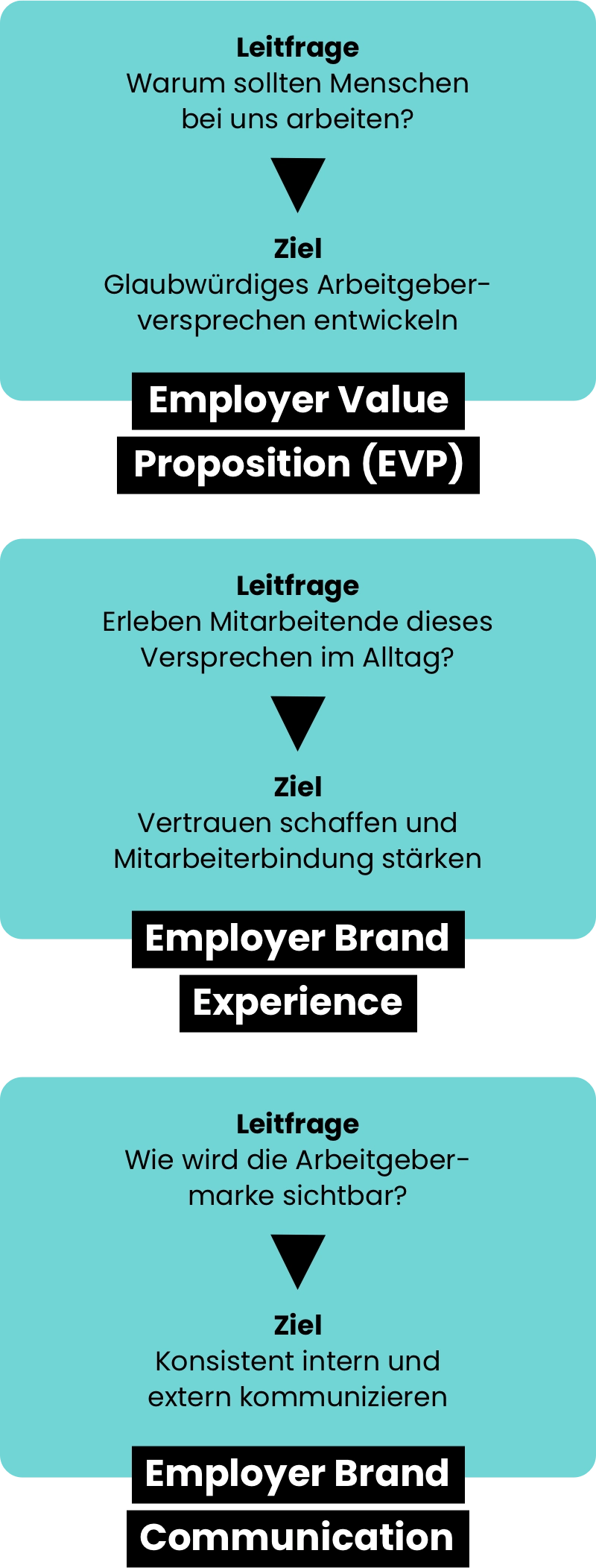 Infografik zum Drei-Säulen-Modell: Employer Value Proposition (EVP): Leitfrage: Warum sollten Menschen bei uns arbeiten? Ziel: Glaubwürdiges Arbeitgeberversprechen entwickeln. Employer Brand Experience: Leitfrage: Erleben Mitarbeitende dieses Versprechen im Alltag? Ziel: Vertrauen schaffen und Mitarbeiterbindung stärken. Employer Brand Communication: Leitfrage: Wie wird die Arbeitgebermarke sichtbar? Ziel: Konsistent intern und extern kommunizieren.