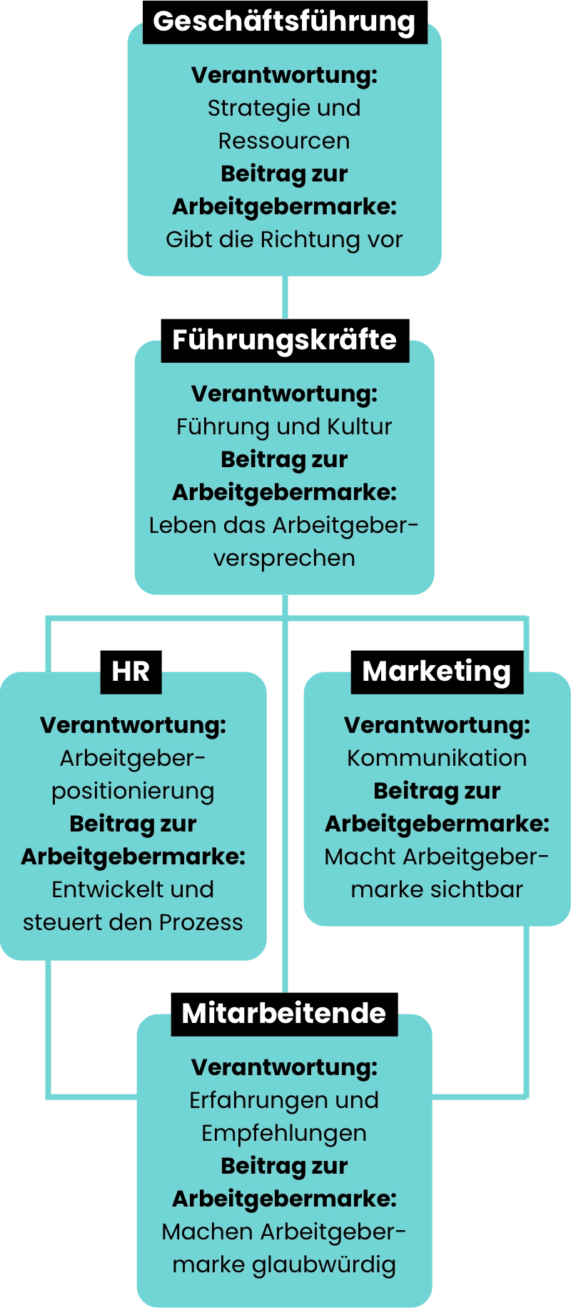 Infografik zu den Verantwortungen im Employer Branding: Geschäftsführung: Verantwortung: Strategie und Ressourcen. Beitrag zur Arbeitgebermarke: Gibt die Richtung vor. Führungskräfte: Verantwortung: Führung und Kultur. Beitrag zur Arbeitgebermarke: Leben das Arbeitgeberversprechen. HR: Verantwortung: Arbeitgeberpositionierung. Beitrag zur Arbeitgebermarke: Entwickelt und steuert den Prozess. Marketing: Verantwortung: Kommunikation. Beitrag zur Arbeitgebermarke: Macht Arbeitgebermarke sichtbar. Mitarbeitende: Verantwortung: Erfahrungen und Empfehlungen. Beitrag zur Arbeitgebermarke: Machen Arbeitgebermarke glaubwürdig.